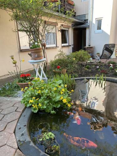 Apartamento Ferienwohnung Bongartz