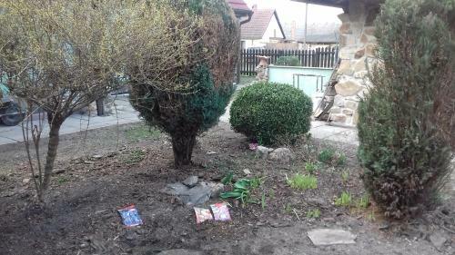 Apartm�ny Na Hl�n?