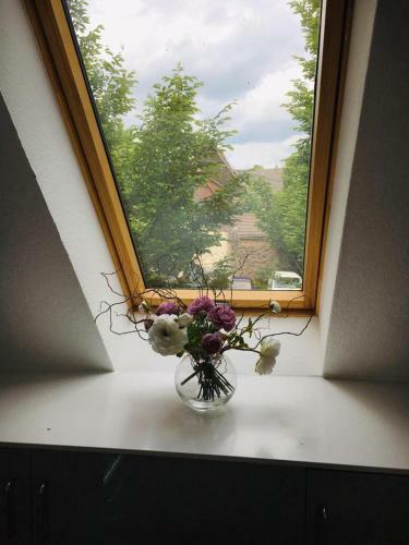 Apartamento Rheingau - Sch�ne M�blierte Ferienwohnung