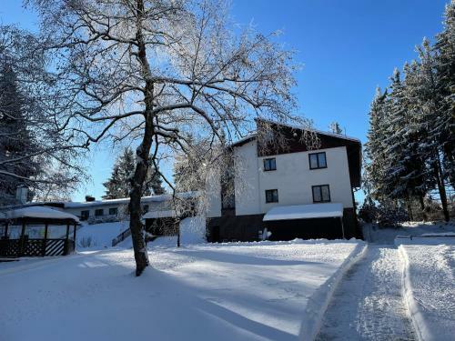 Hostal Hotel A Penzion Pegas