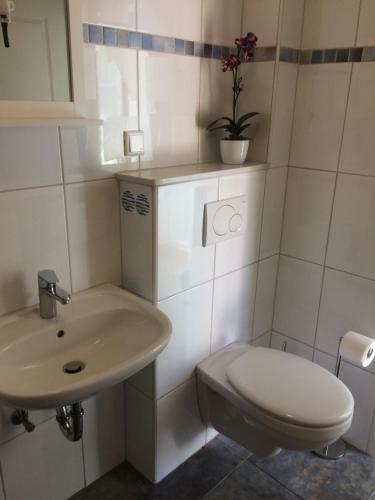 Apartamento ?l�ttje N�st?