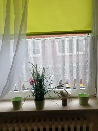Apartamento Riposo