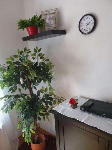 Apartamento Riposo