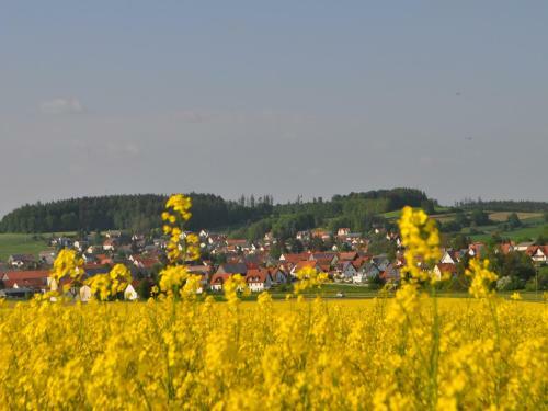 Apartamentos G�stehaus Schneider