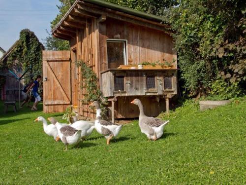 Apartamentos G�stehaus Schneider