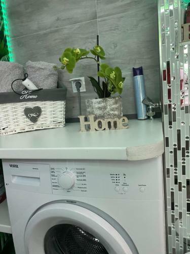 Apartamento Ferienwohnung Erfurter Rose
