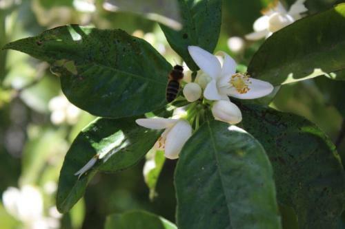 Recanto Tia S�o Magalh�es