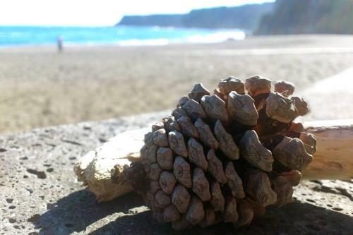 Apartamento Hilltop Azores - Beach & Countryside