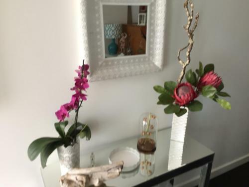 Bed & Breakfast Casa Physalis