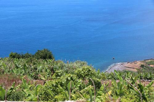 Apartamento A View For You