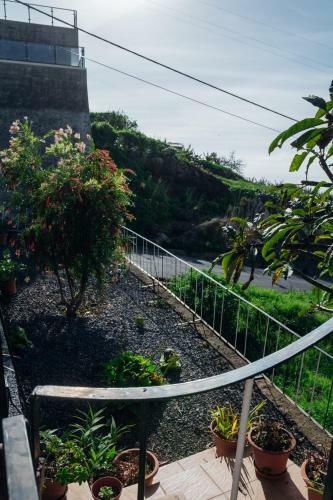Lovely 3-bed Cottage In Ribeira Brava