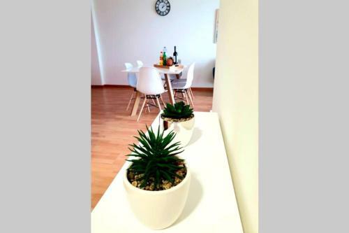 Apartamento Hill & Sea House