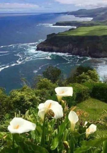 Casa Cassanelli By The Ocean