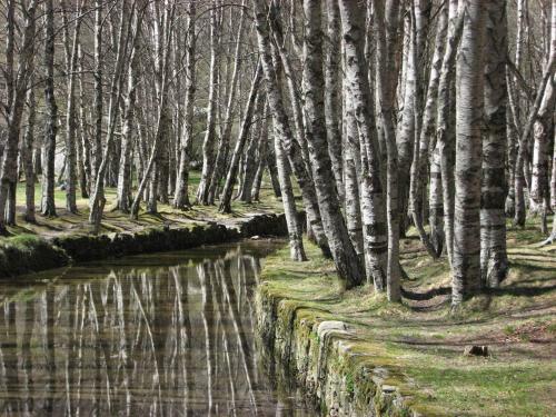 Agroturismo Sambuc'asa - Serra Da Estrela