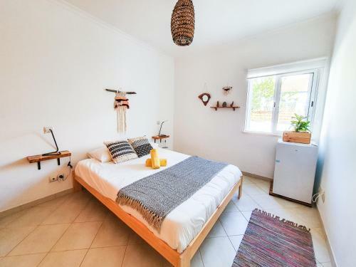 Hostal Jelly Fish Guest House