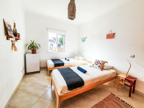 Hostal Jelly Fish Guest House