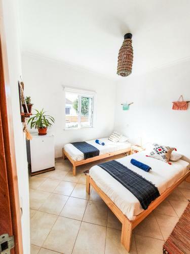 Hostal Jelly Fish Guest House