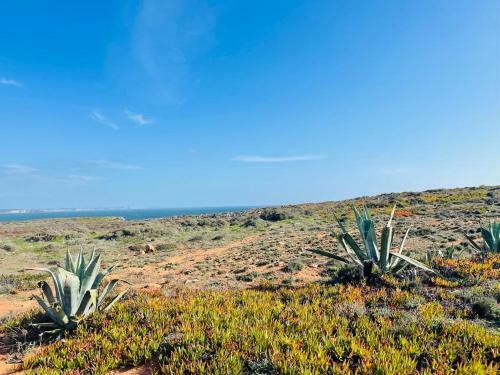 Feelgood Sagres Vegan Homestay