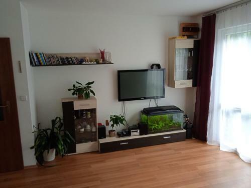Apartm�n Medu?kov�