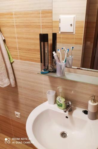 Apartm�n Br?�ln�k S Balkonem