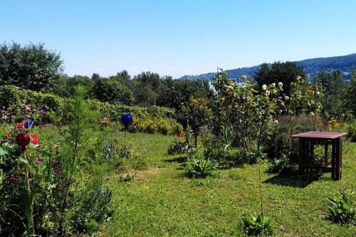 Apartamento Seenah - Ihre Wohnung Am Bodensee / Untersee