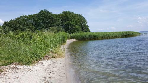 Apartamento Appartement "seestern" - Oase Am Haff