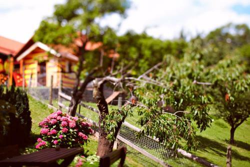 Agroturismo Tourist Farm Ur?ka