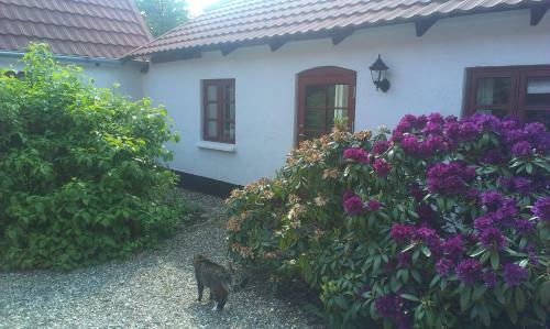 Bed & Breakfast Vranum Guesthouse