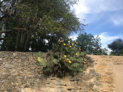 Luberon Maison Village 2 � 6 Personnes