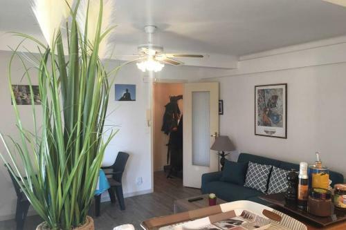 Apartamento Charmant Appartement Bord de Mer, Plage