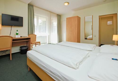 Hotel Wiking