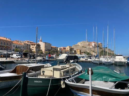 Apartamento Corse Calvi Appt Vue Sur Mer