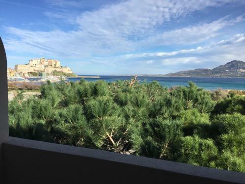 Apartamento Corse Calvi Appt Vue Sur Mer