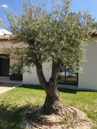 Location Villa Entre Lac Et Oc�an Avec Son Spa de Nage