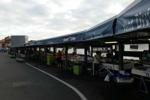 Beach Front Apartment Eljocri