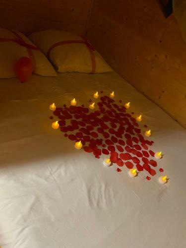 Cabane Enchant�e
