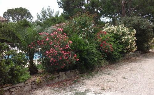 Apartamento Les Buis