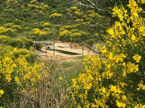 Eco Lodge/tiny House Ferrairolles/rolinka