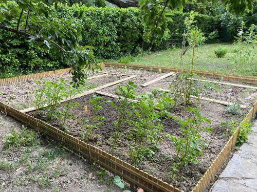 Bed & Breakfast Carcazen