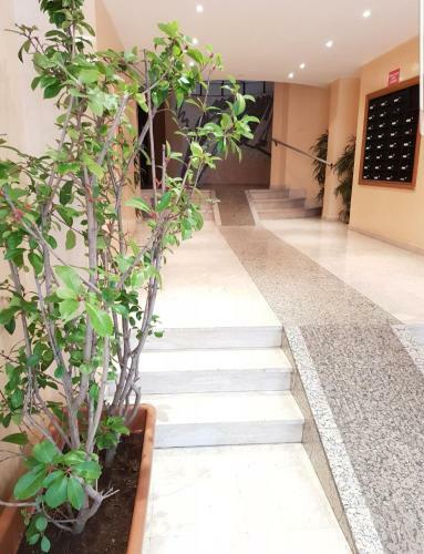 Apartamento Studio Cosy Centre Cannes