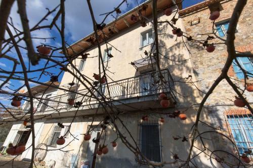 Il Mandorlo