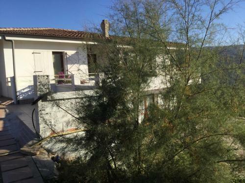 Chicco Frau Appartamenti Trattati Con Ozono