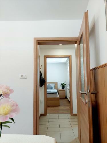 Hostal Apartments Su?nik