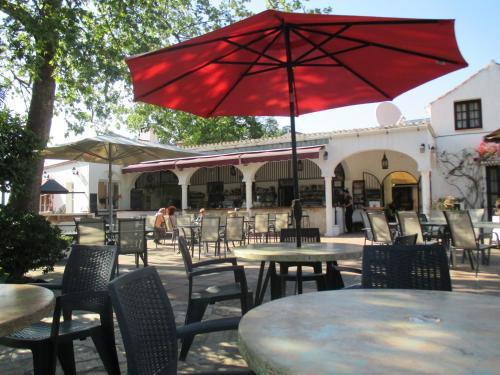 Bed & Breakfast Finca La Mota