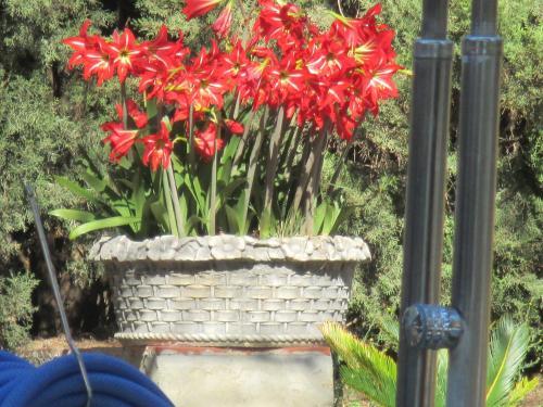 Bed & Breakfast Finca La Mota
