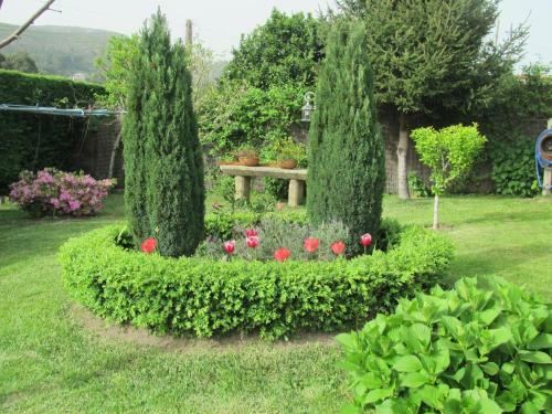 Apartamentos Mars�