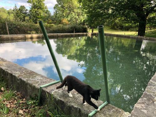 Quinta Das Uchas
