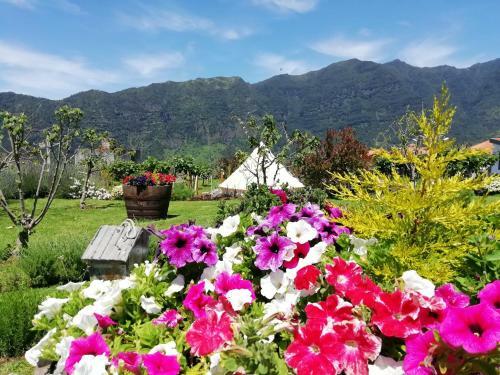 Agroturismo Granny's Farm