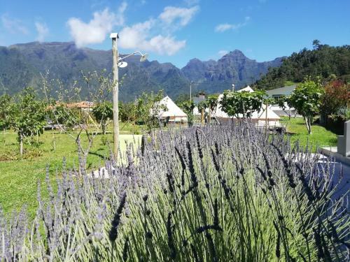Agroturismo Granny's Farm