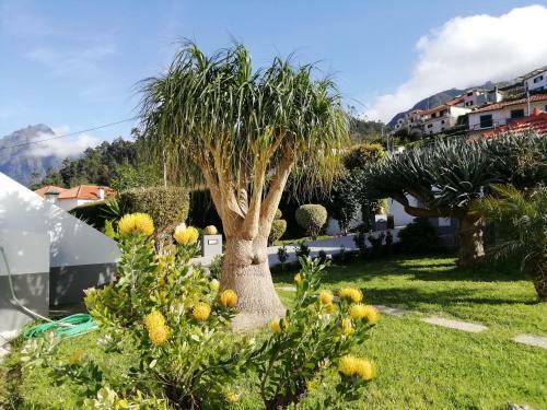 Agroturismo Granny's Farm